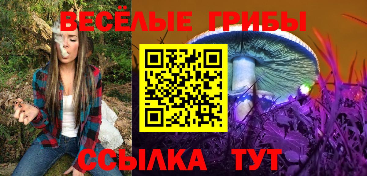 Галлюциногенные грибы Cubensis Бирск
