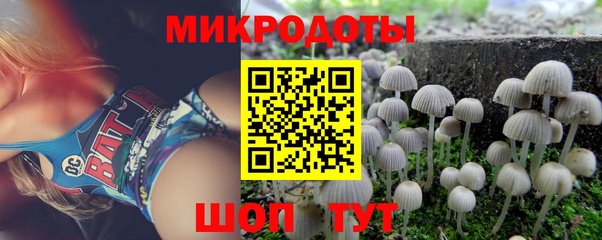 Бирск  Галлюциногенные грибы Psilocybine cubensis  Вход с VPN 