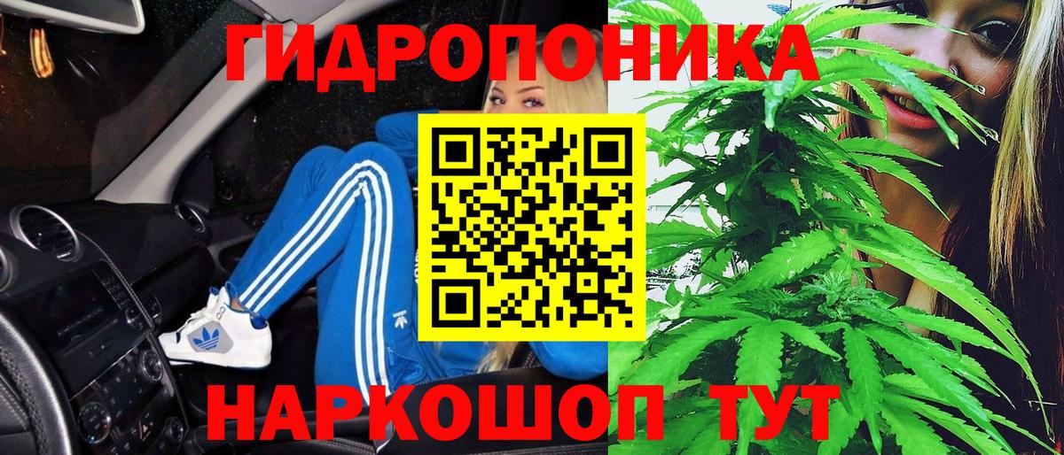 Бошки Шишки Amnesia Бирск